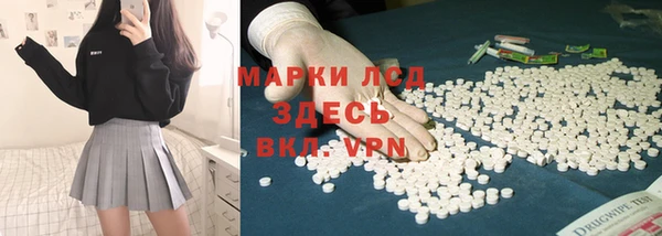 ПСИЛОЦИБИНОВЫЕ ГРИБЫ Арсеньев