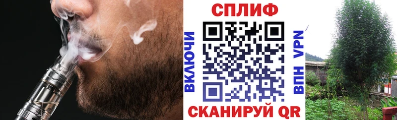 Каннабис сатива  блэк спрут зеркало  Сосенский 